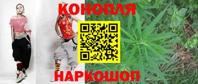 стафф Ачхой-Мартан