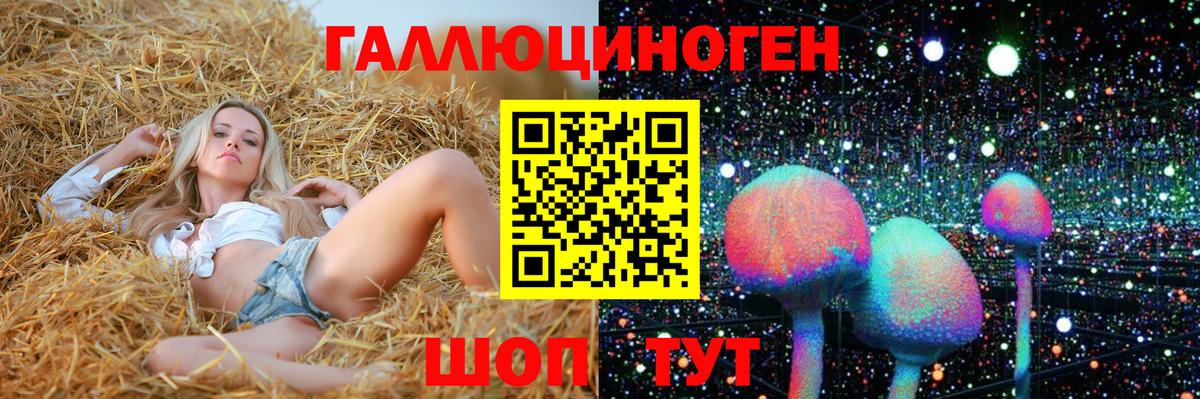 Псилоцибиновые грибы прущие грибы  Вход с VPN  Горячий Ключ 